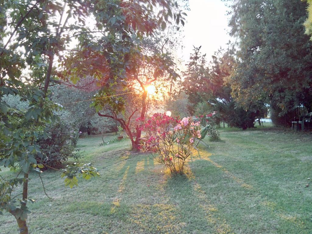 Agriturismo La Torre Di Monsindoli เซียนา ภายนอก รูปภาพ