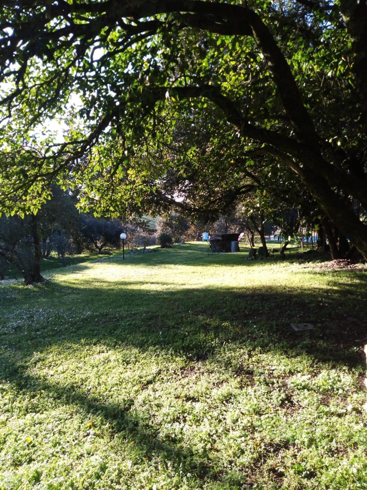 Agriturismo La Torre Di Monsindoli เซียนา ภายนอก รูปภาพ