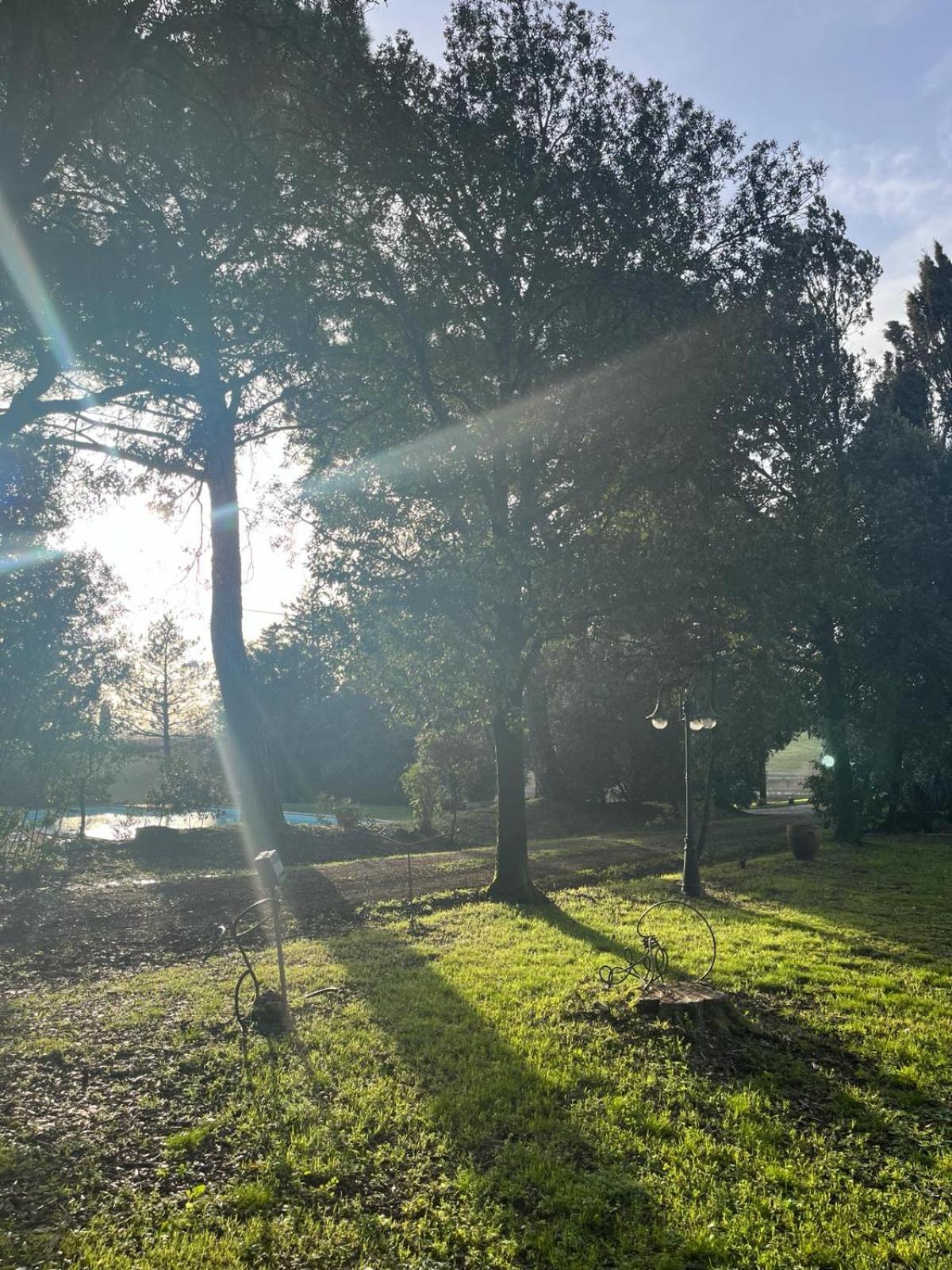Agriturismo La Torre Di Monsindoli เซียนา ภายนอก รูปภาพ